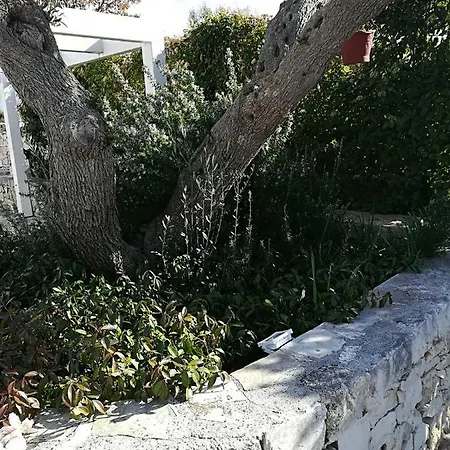 Trullo Monte Del Sale * Alberobello