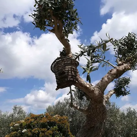 Casa di campagna Trullo Monte Del Sale Alberobello